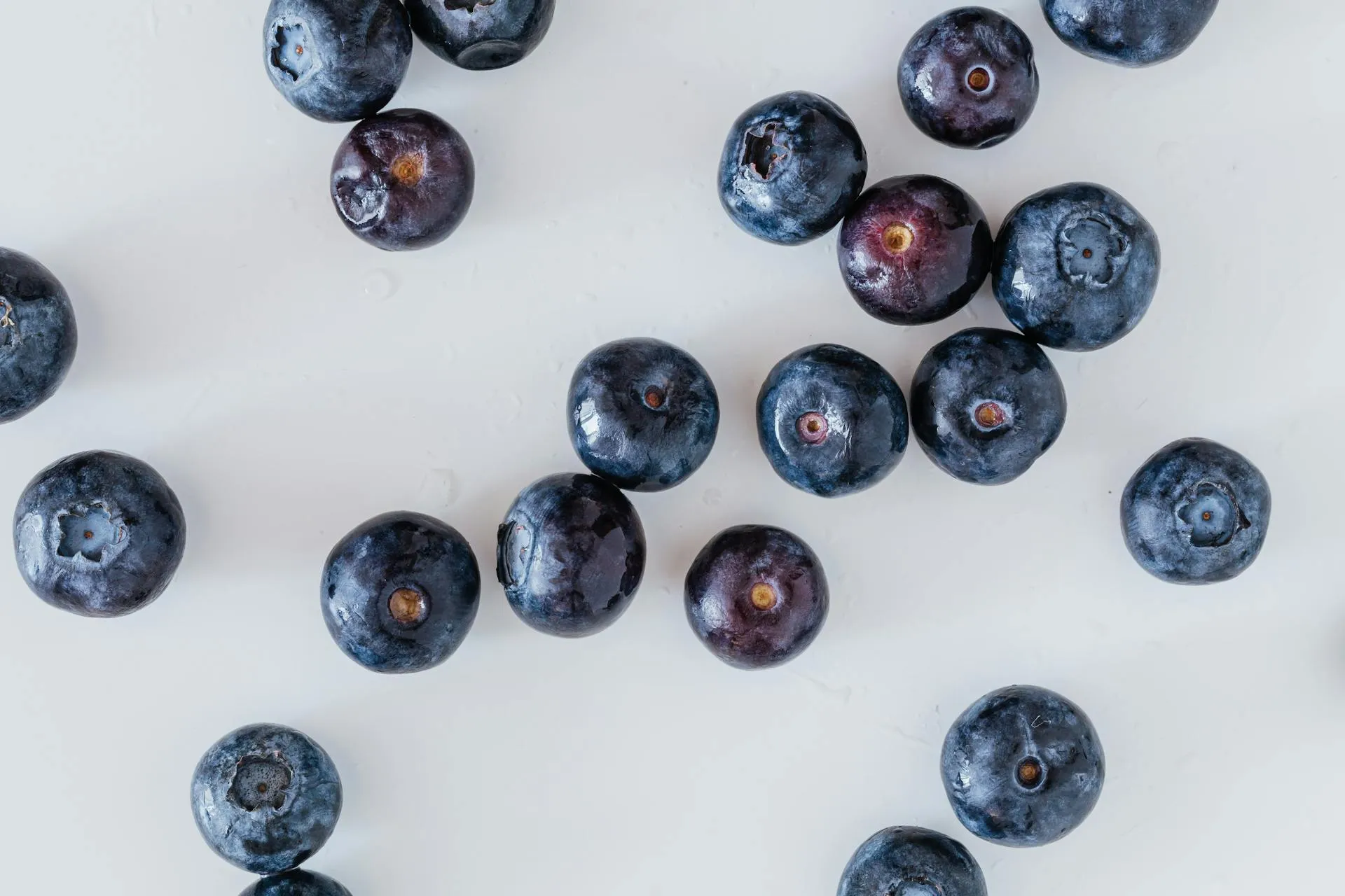 Blueberries with morning dew