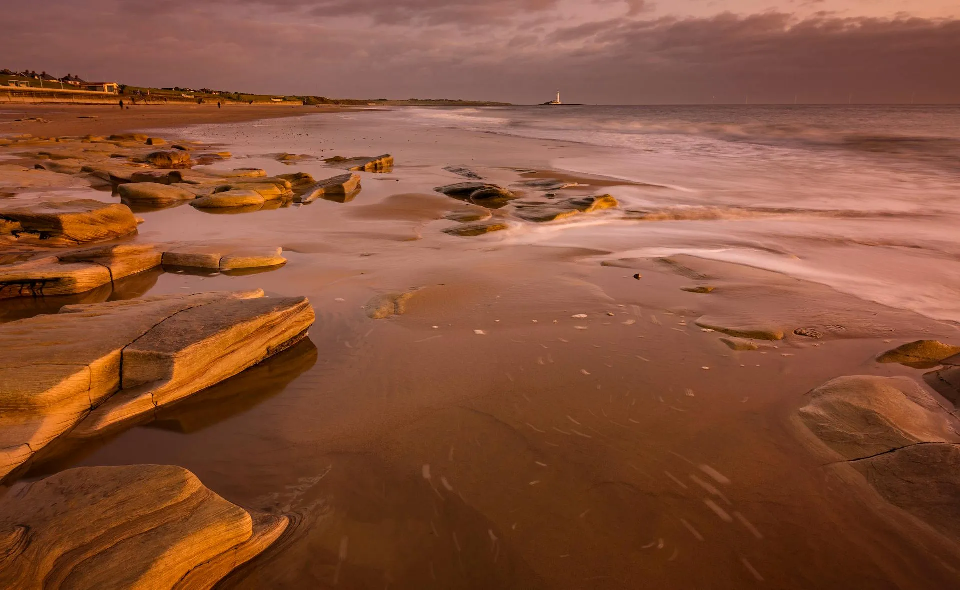 Fresh raspberries in container