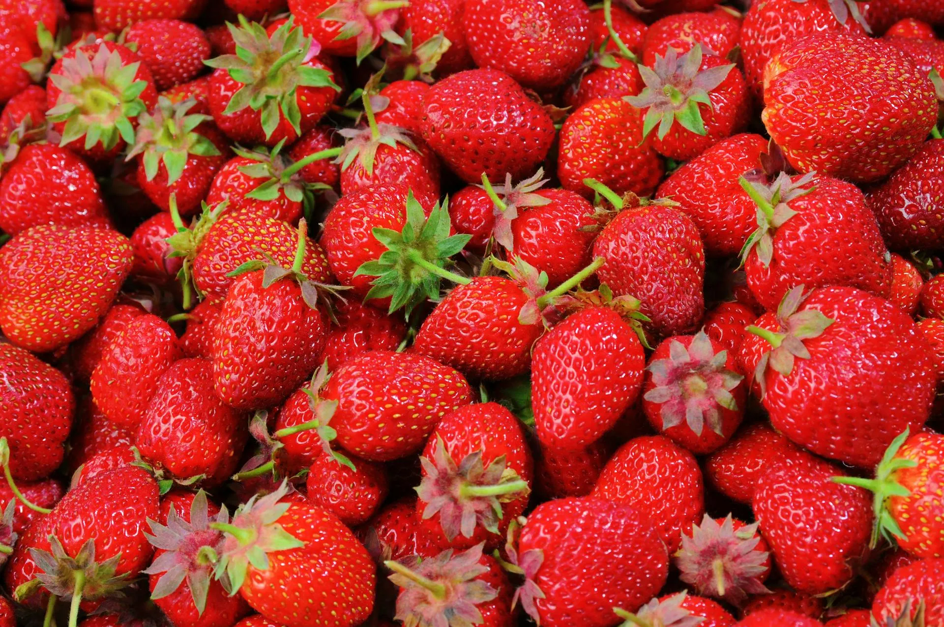 Fresh strawberries closeup