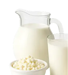 Your Daily Dose of Creamy Goodness