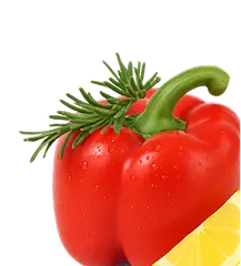 Only fresh vegetables to your table