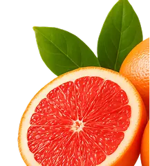 Sweet Deals on Sweet Fruits