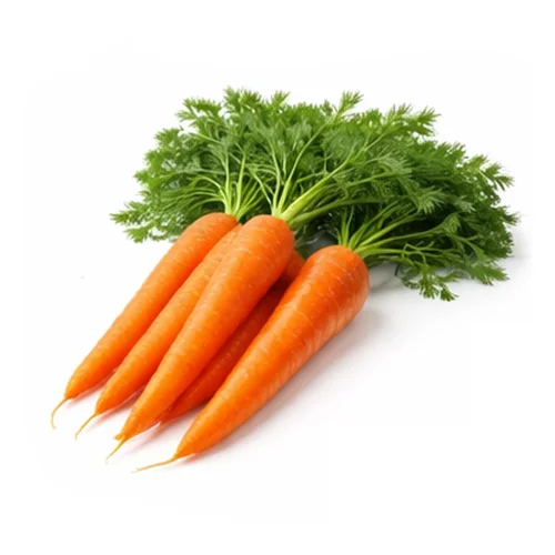 Carrots - Organic