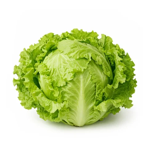 Lettuce - Organic