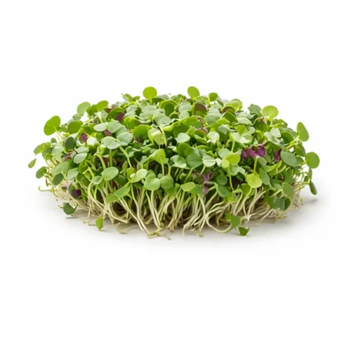 Microgreens Mix - Organic