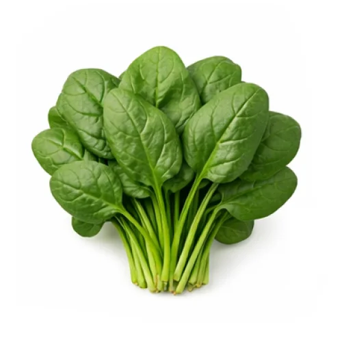 Spinach - Organic