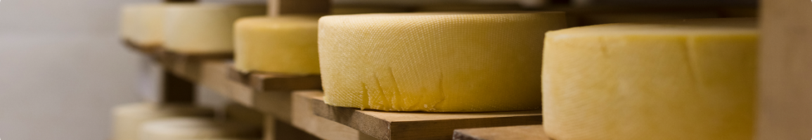 Fromagerie Laitière