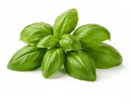 Product Basil Image
