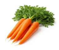 Product Carrots - Organic Image