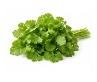 Product Cilantro Image