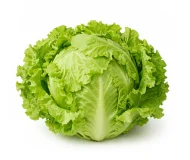 Product Lettuce Image