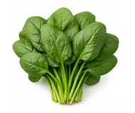 Product Spinach Image