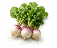 Product Turnips - Organic Image